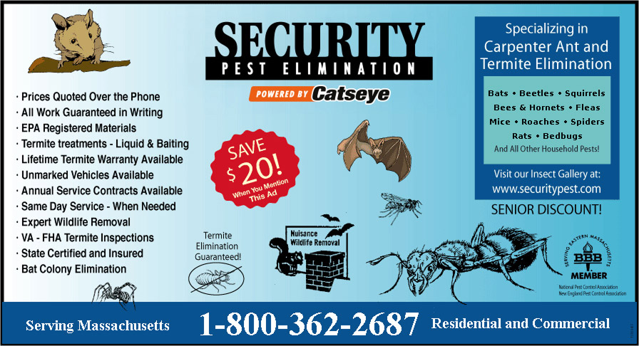 Security Pest banner